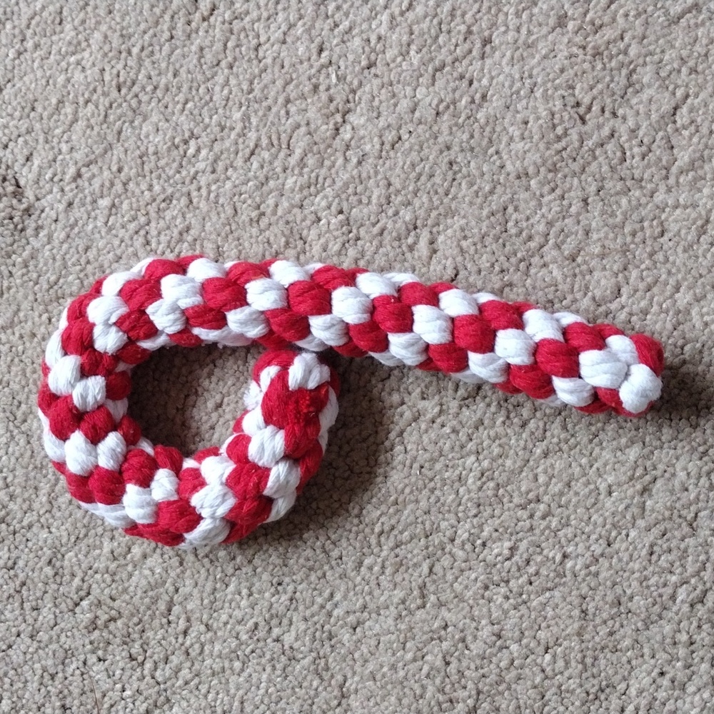 Dog chew toy- Christmas theme
